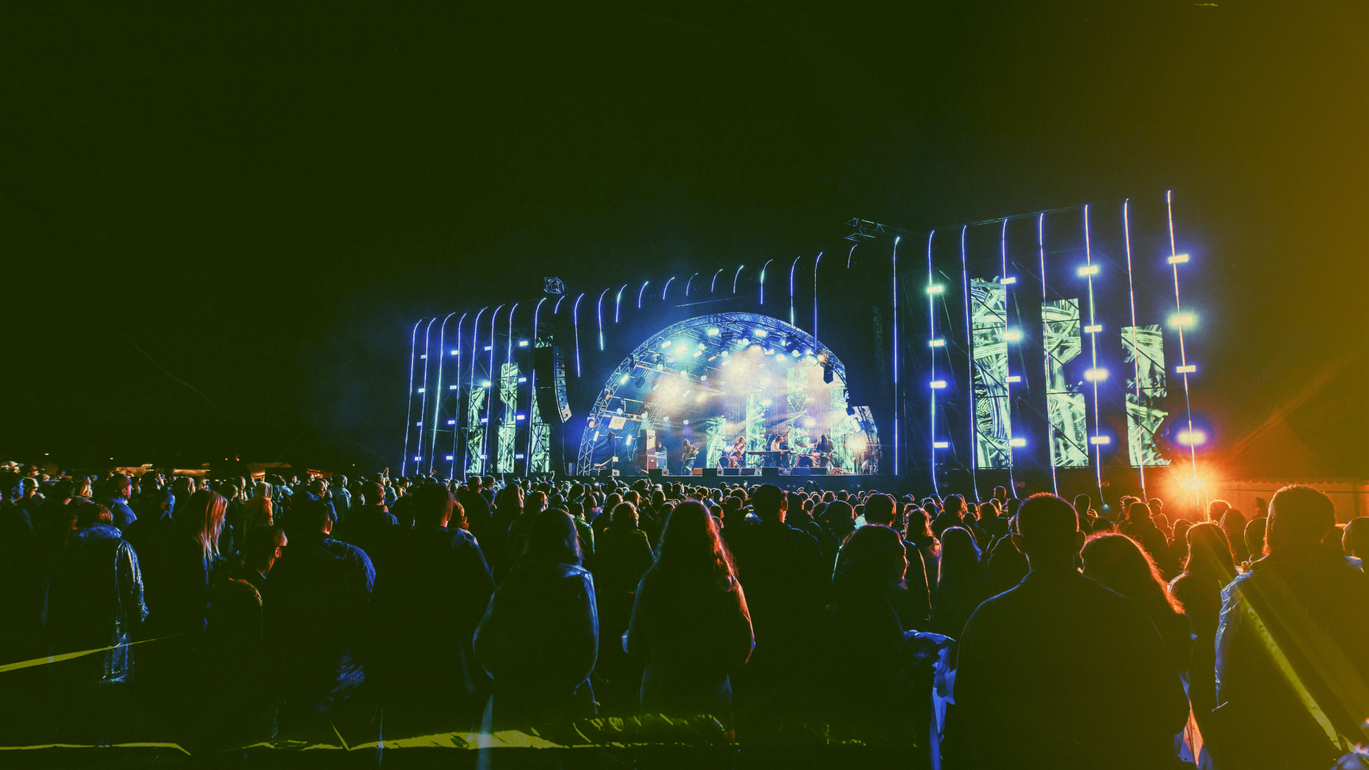 фестиваль «Дикая Мята»