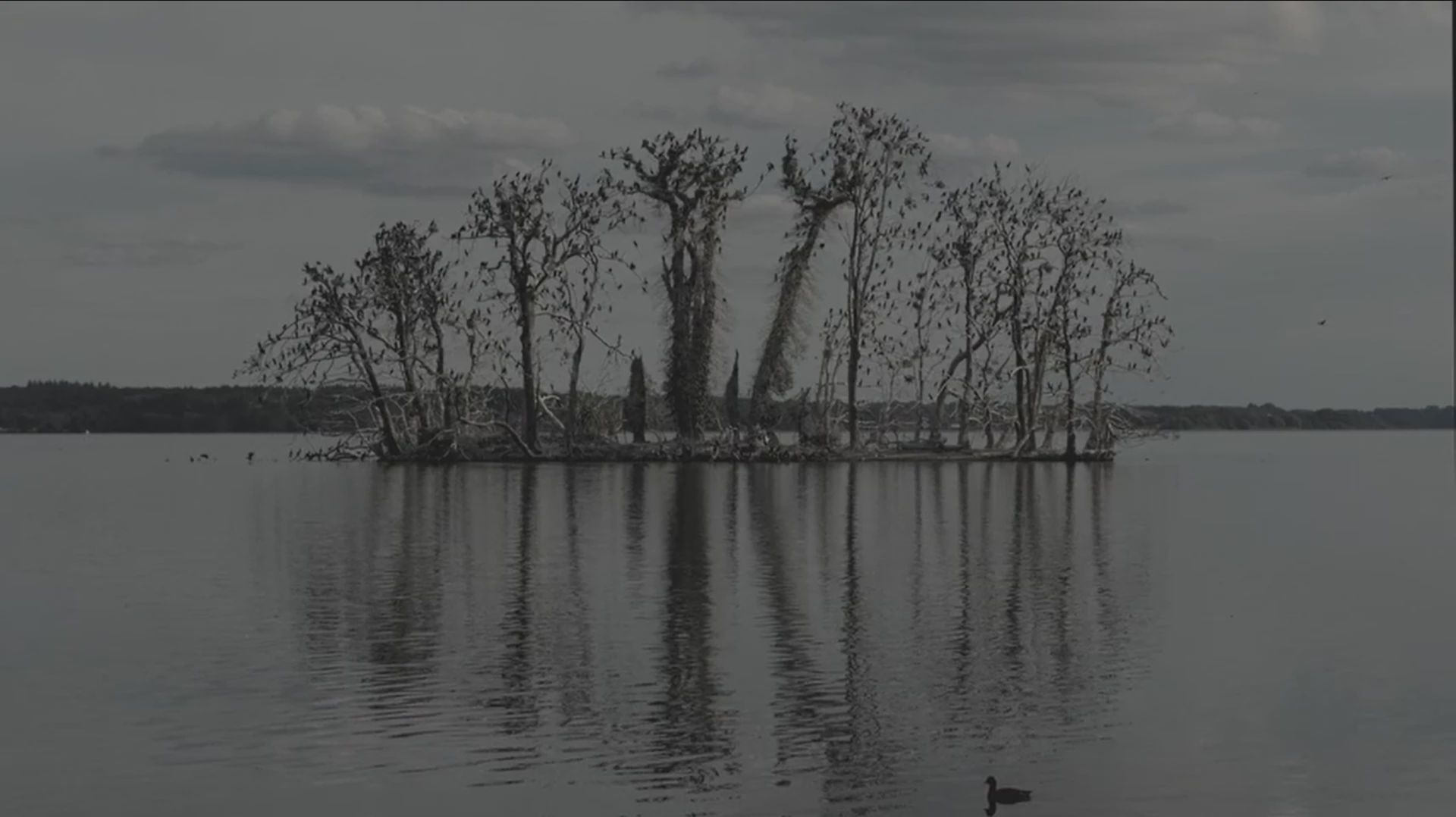 Выставка «Саврасов и тишина» фото 2