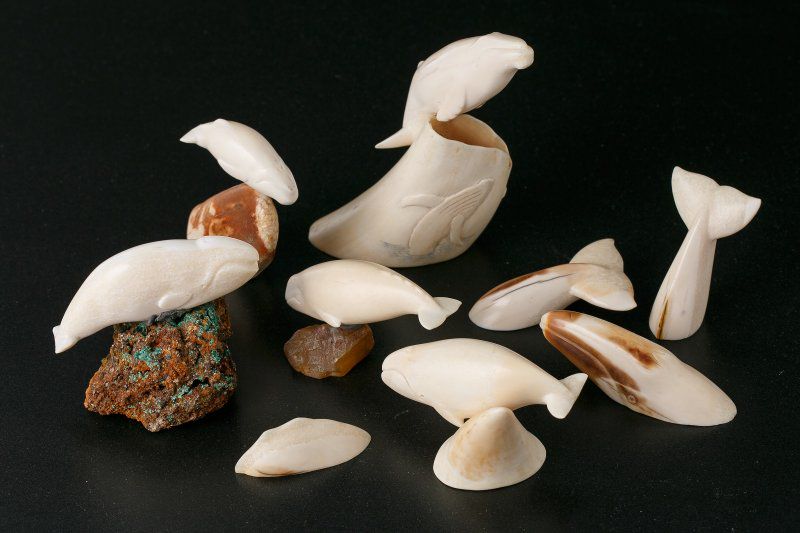 выставка «Путешествие на Чукотку»