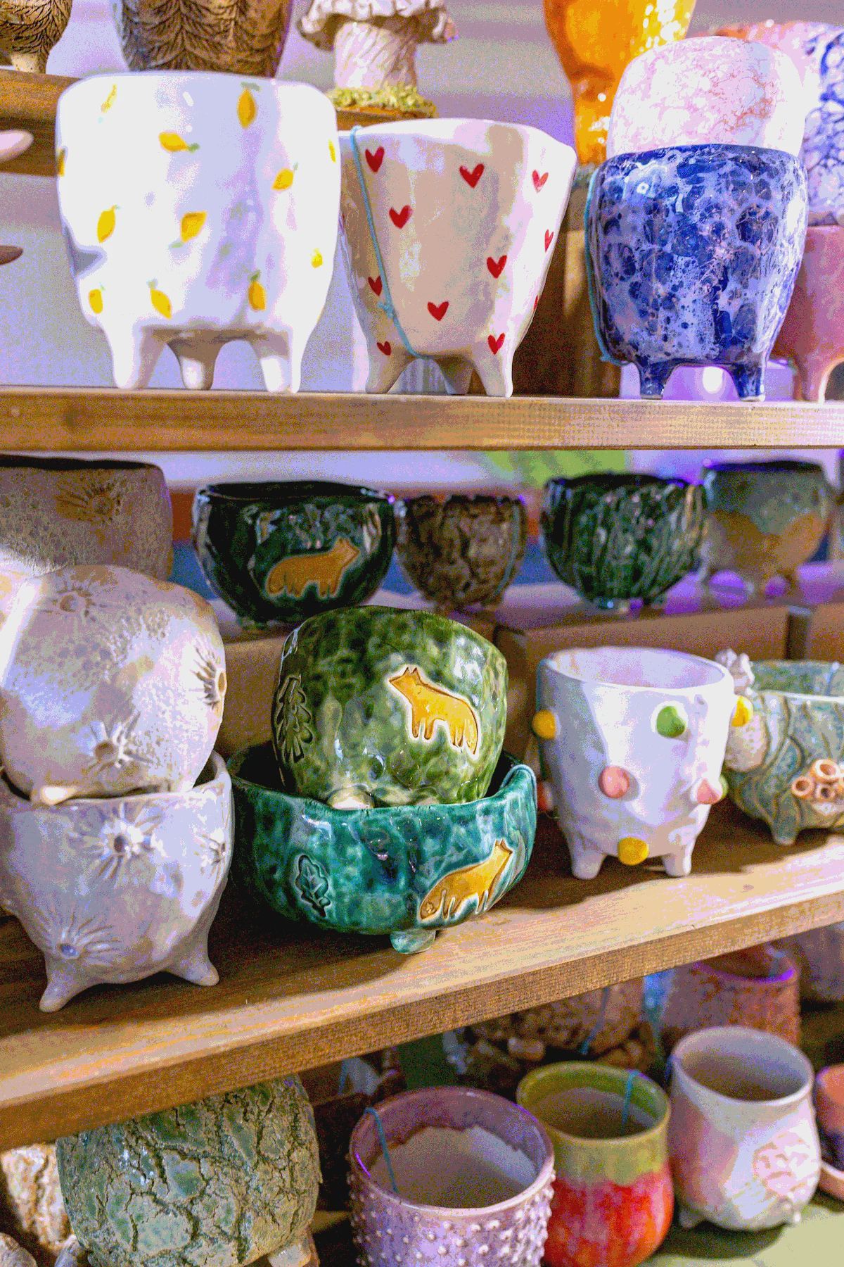 Фестиваль ЗООФЕСТ ЭКО фото 7