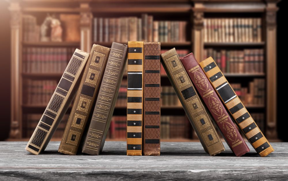 книжный клуб «Патриархат плюшевого мишки»