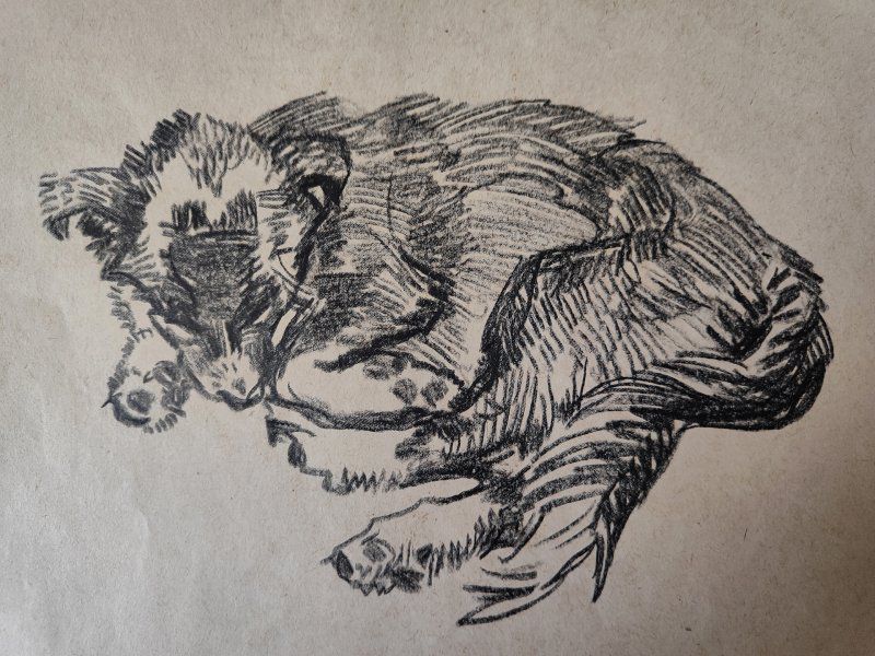 Выставка «От Москвы до Камчатки» фото 5