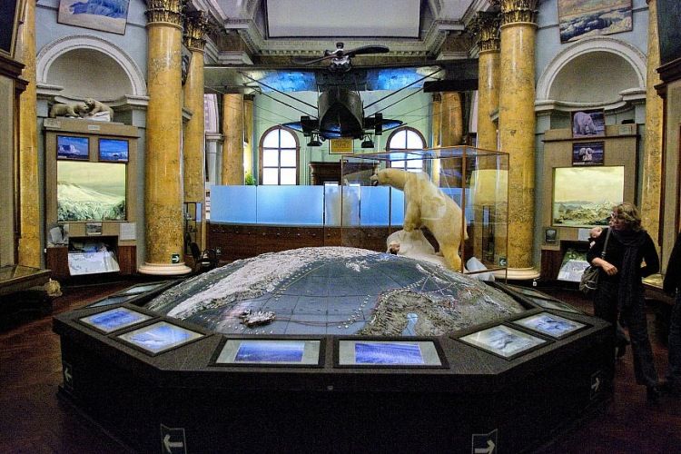 Экспозиция музея Арктики и Антарктики «Природа Арктики»