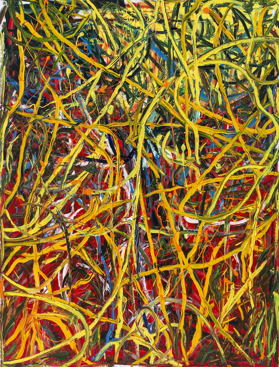 выставка «Дмитрий Сухов. Между хаосом и формой»