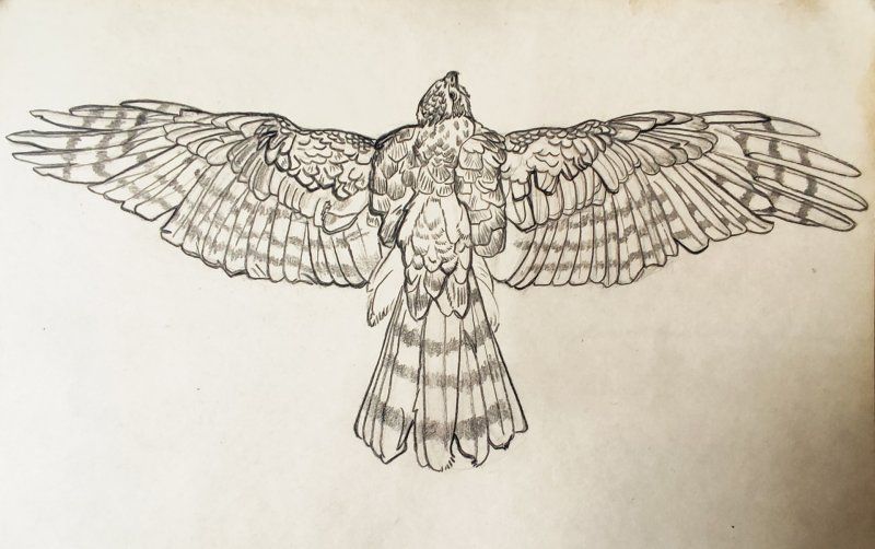 Выставка «От Москвы до Камчатки» фото 1