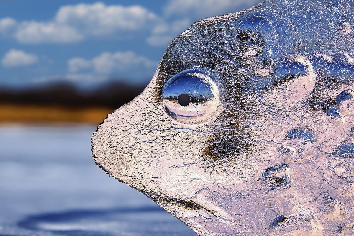 творческая встреча «Фотосреда: тренды современной фотографии»