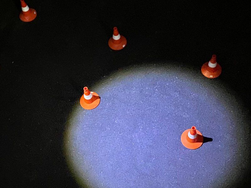 выставка «У нас отобрали джунгли»