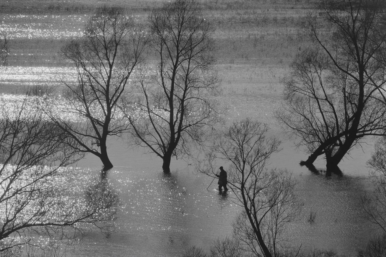 выставка «Русское поле»