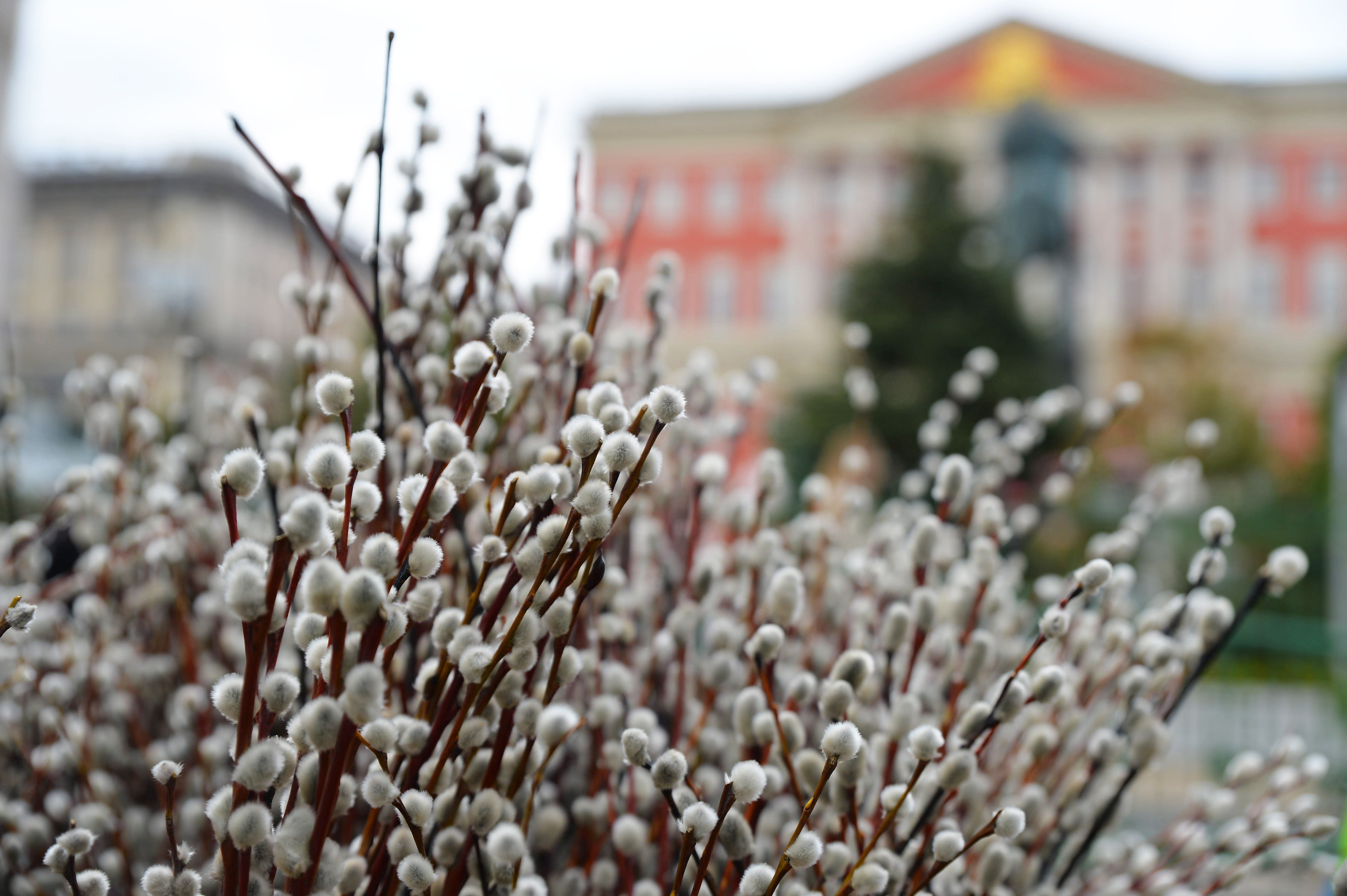 Фестиваль «Пасхальный дар»