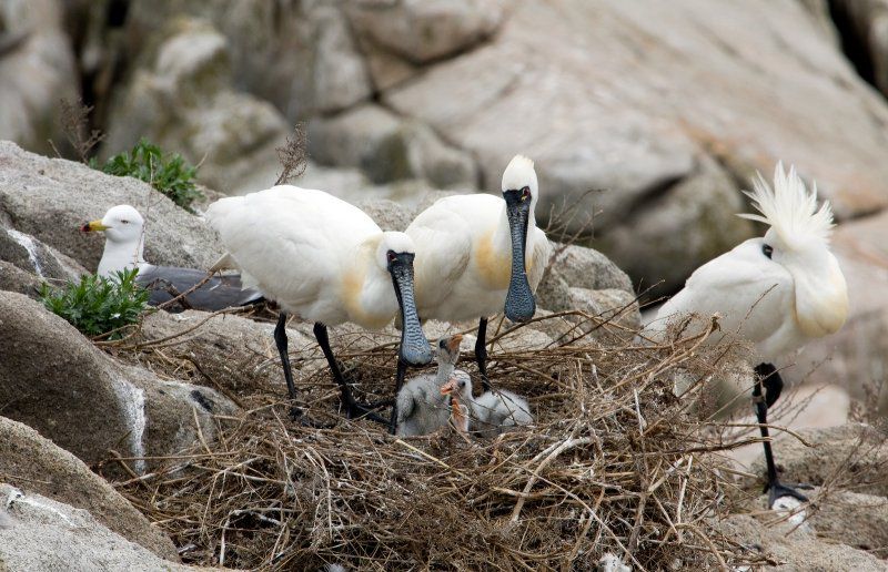 выставка «Морские жители Земли Леопарда»