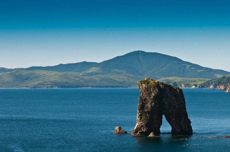 выставка «Морские жители Земли Леопарда»