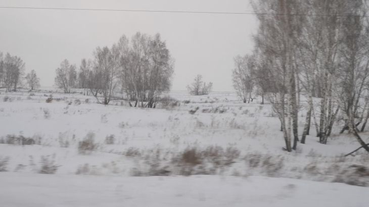 Выставка «Зима ИИ» / AI Winter фото 1