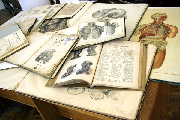 выставка «Жизнь тела после смерти»