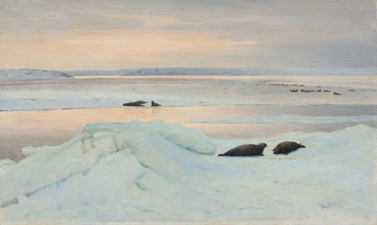 Выставка «Арктика. Полюс цвета» фото 3