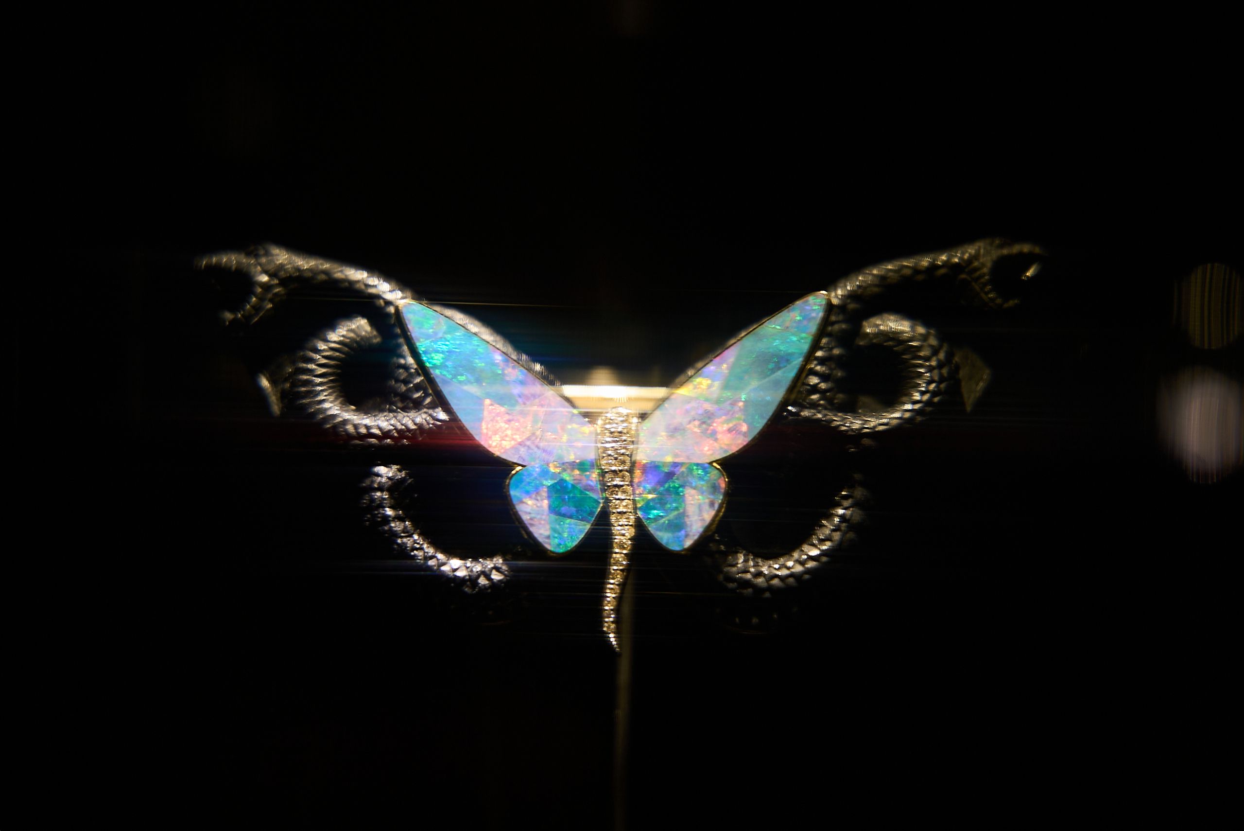 выставка «На свет из темноты»