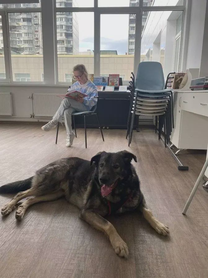 тренинг «Читаем четвероногому другу»