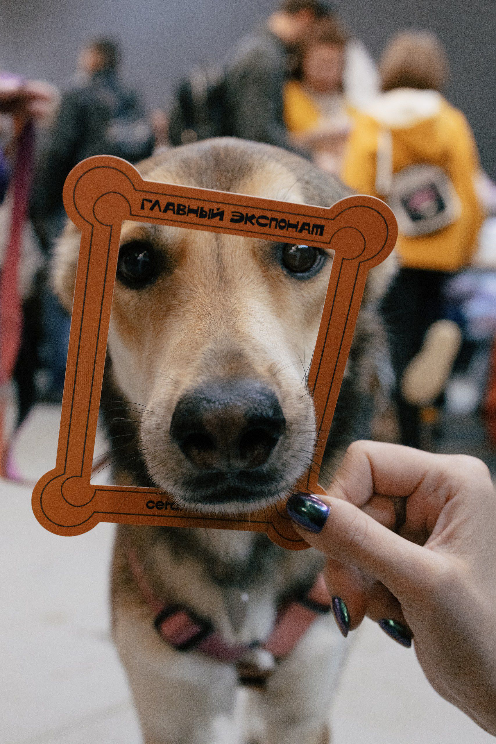 Фестиваль CERAMANIA