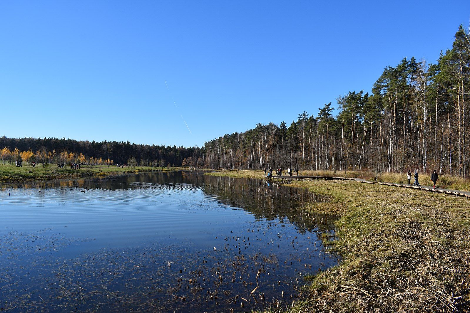 Парк Мещерский