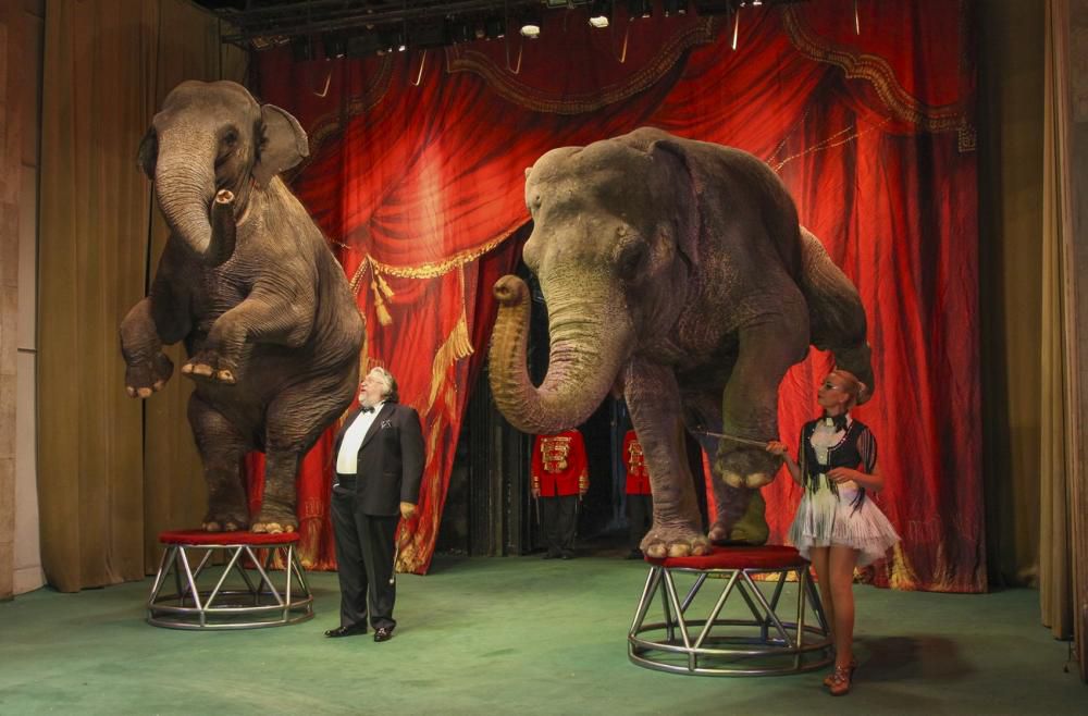 Театр «Уголок дедушки Дурова» в Москве