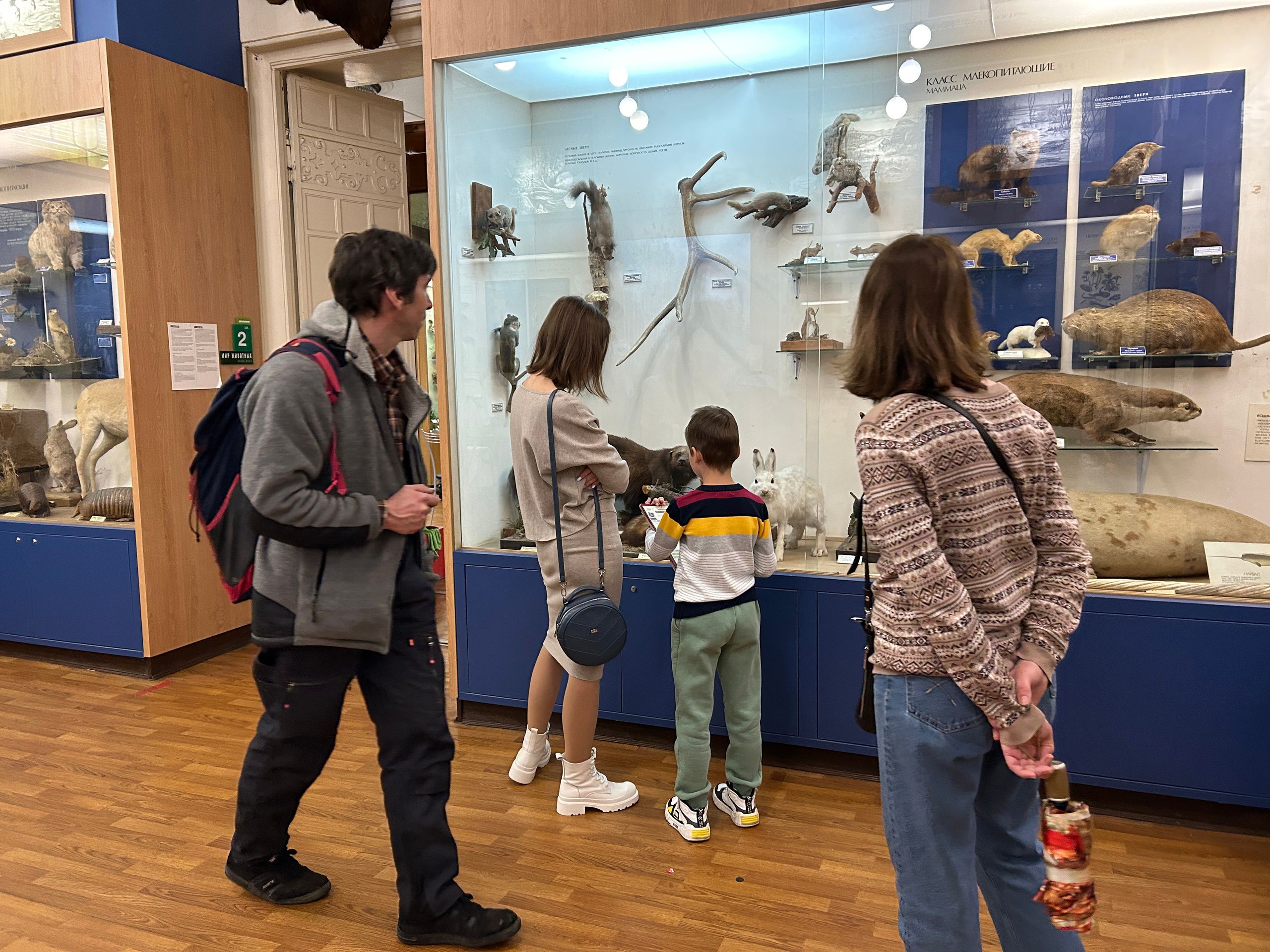 Государственный Биологический музей имени К. А. Тимирязева в Москве