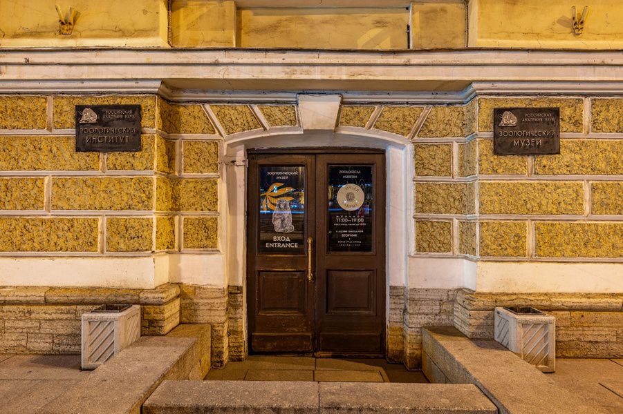 Зоологический музей
