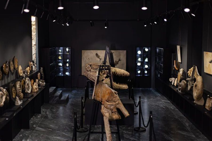 Музей Paleo Hunters 